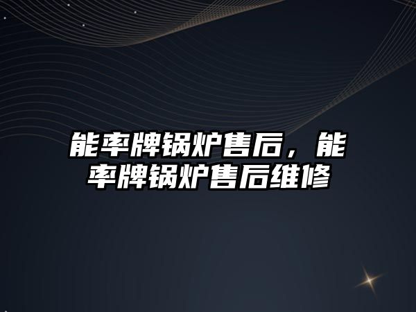 能率牌鍋爐售后，能率牌鍋爐售后維修