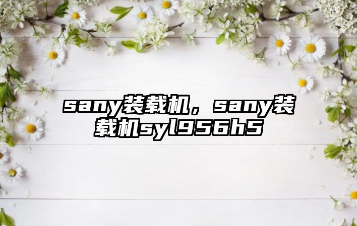 sany裝載機，sany裝載機syl956h5