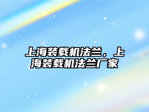 上海裝載機法蘭，上海裝載機法蘭廠家