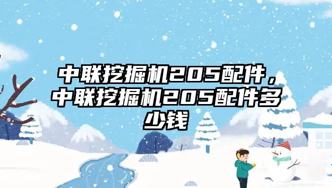 中聯(lián)挖掘機205配件，中聯(lián)挖掘機205配件多少錢