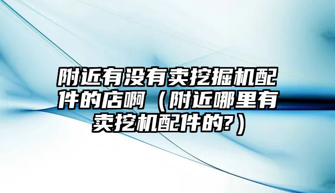 附近有沒有賣挖掘機配件的店?。ǜ浇睦镉匈u挖機配件的?）