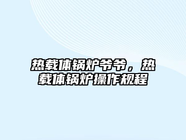 熱載體鍋爐爺爺，熱載體鍋爐操作規(guī)程