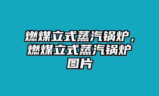 燃煤立式蒸汽鍋爐，燃煤立式蒸汽鍋爐圖片