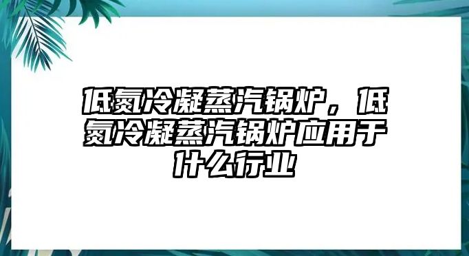 低氮冷凝蒸汽鍋爐，低氮冷凝蒸汽鍋爐應用于什么行業(yè)