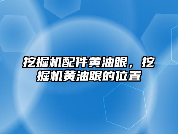 挖掘機配件黃油眼，挖掘機黃油眼的位置