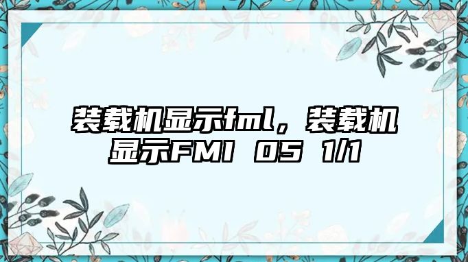 裝載機顯示fml，裝載機顯示FMI 05 1/1