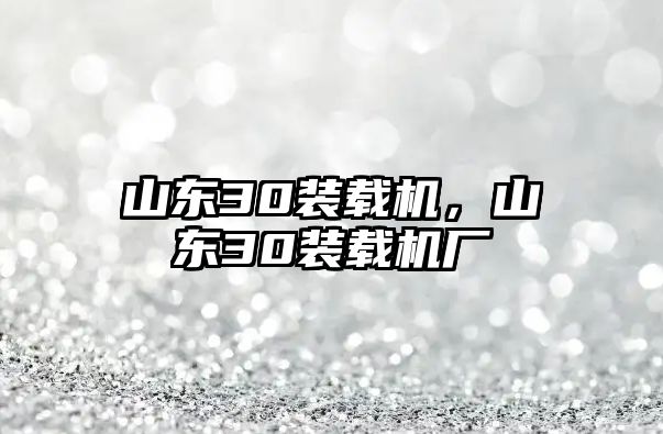 山東30裝載機，山東30裝載機廠