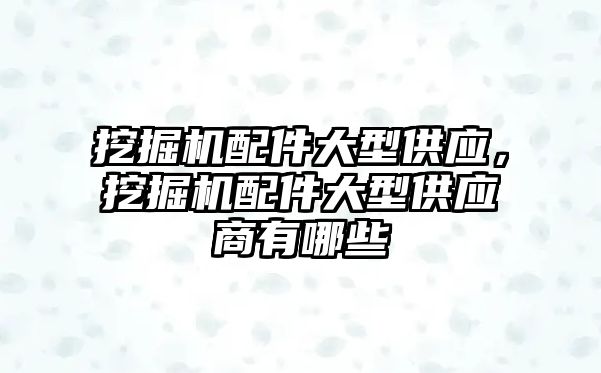 挖掘機配件大型供應(yīng)，挖掘機配件大型供應(yīng)商有哪些