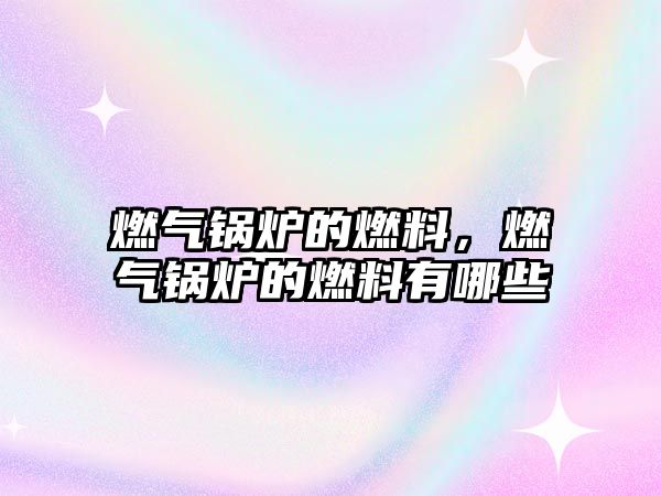 燃?xì)忮仩t的燃料，燃?xì)忮仩t的燃料有哪些