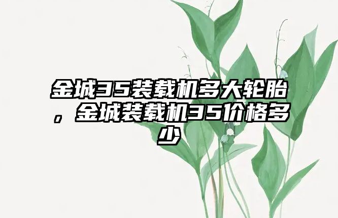 金城35裝載機多大輪胎，金城裝載機35價格多少