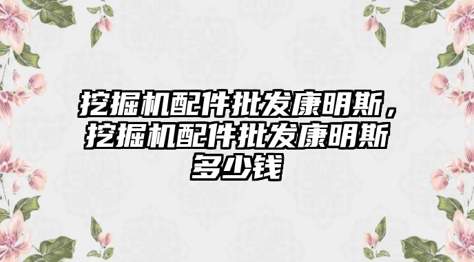 挖掘機配件批發(fā)康明斯，挖掘機配件批發(fā)康明斯多少錢