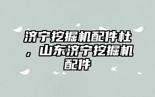 濟(jì)寧挖掘機(jī)配件杜，山東濟(jì)寧挖掘機(jī)配件