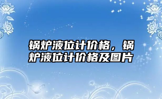 鍋爐液位計價格，鍋爐液位計價格及圖片