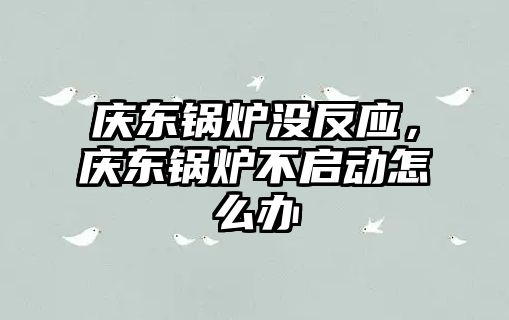 慶東鍋爐沒反應(yīng)，慶東鍋爐不啟動怎么辦