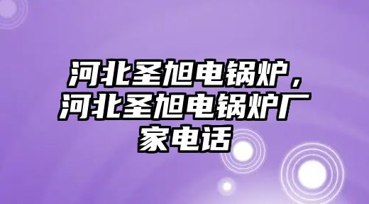 河北圣旭電鍋爐，河北圣旭電鍋爐廠家電話