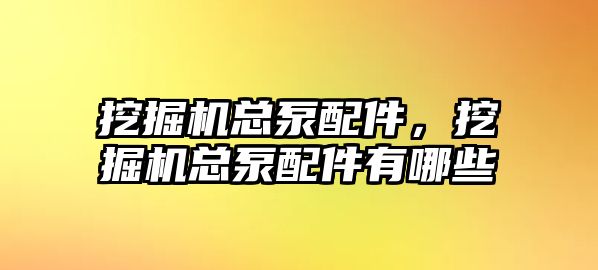 挖掘機總泵配件，挖掘機總泵配件有哪些