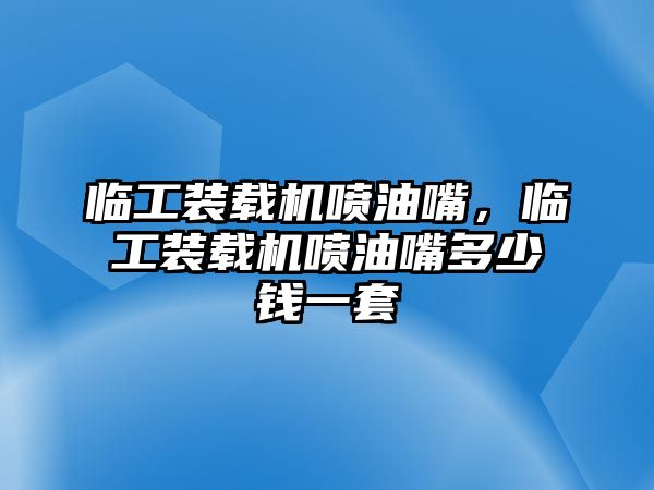 臨工裝載機(jī)噴油嘴，臨工裝載機(jī)噴油嘴多少錢一套