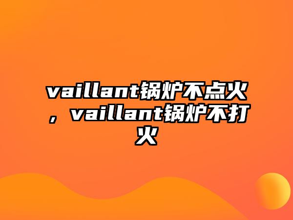 vaillant鍋爐不點火，vaillant鍋爐不打火