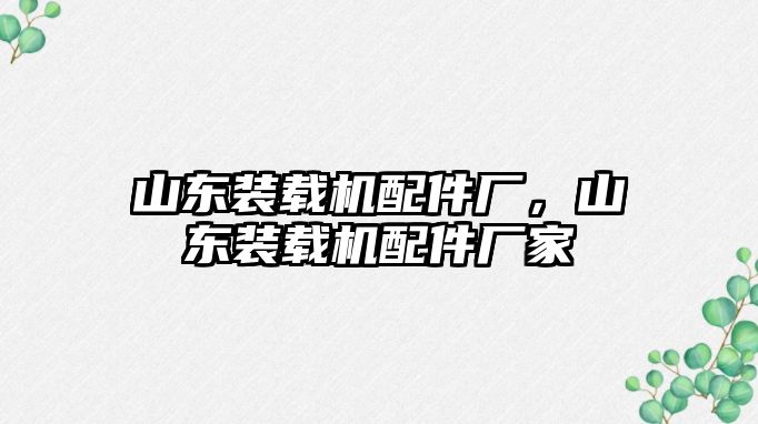 山東裝載機配件廠，山東裝載機配件廠家