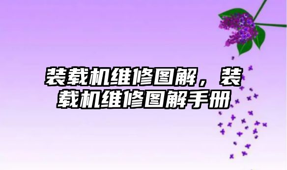 裝載機維修圖解，裝載機維修圖解手冊