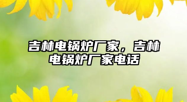 吉林電鍋爐廠家，吉林電鍋爐廠家電話