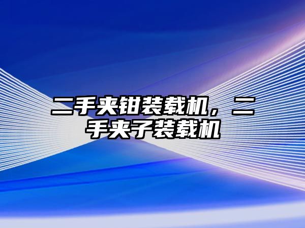 二手夾鉗裝載機(jī)，二手夾子裝載機(jī)