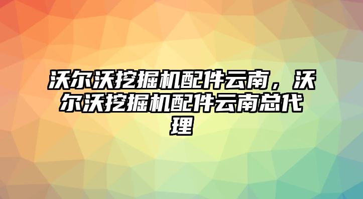 沃爾沃挖掘機配件云南，沃爾沃挖掘機配件云南總代理