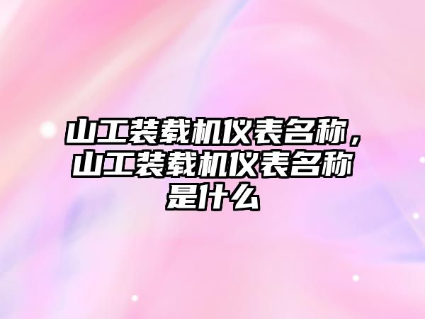 山工裝載機儀表名稱，山工裝載機儀表名稱是什么