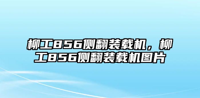 柳工856側(cè)翻裝載機(jī)，柳工856側(cè)翻裝載機(jī)圖片