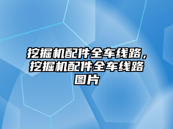 挖掘機配件全車線路，挖掘機配件全車線路圖片