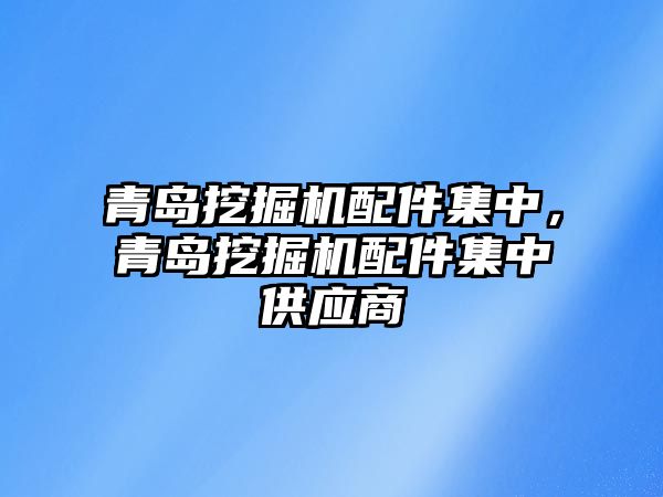 青島挖掘機配件集中，青島挖掘機配件集中供應商