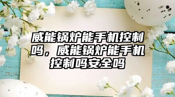 威能鍋爐能手機控制嗎，威能鍋爐能手機控制嗎安全嗎