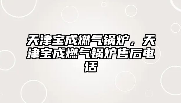 天津?qū)毘扇細(xì)忮仩t，天津?qū)毘扇細(xì)忮仩t售后電話