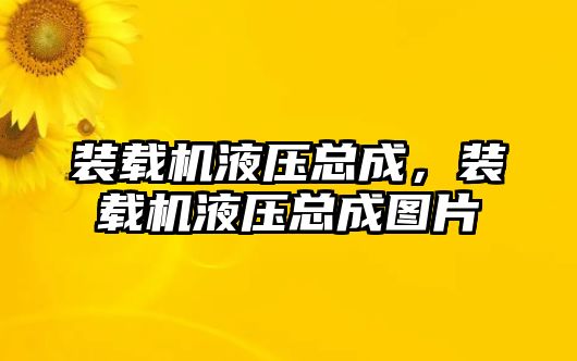 裝載機液壓總成，裝載機液壓總成圖片