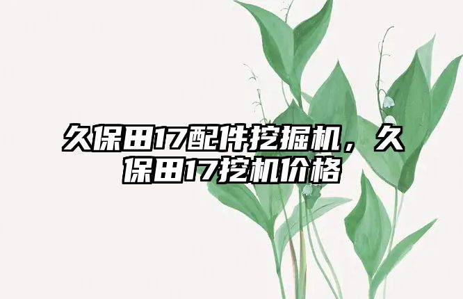 久保田17配件挖掘機(jī)，久保田17挖機(jī)價(jià)格