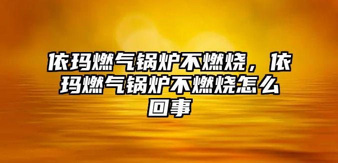 依瑪燃氣鍋爐不燃燒，依瑪燃氣鍋爐不燃燒怎么回事