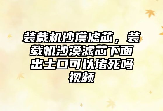 裝載機(jī)沙漠濾芯，裝載機(jī)沙漠濾芯下面出土口可以堵死嗎視頻