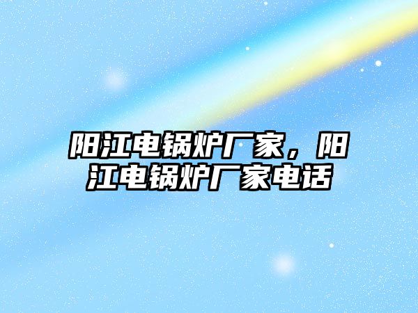 陽江電鍋爐廠家，陽江電鍋爐廠家電話