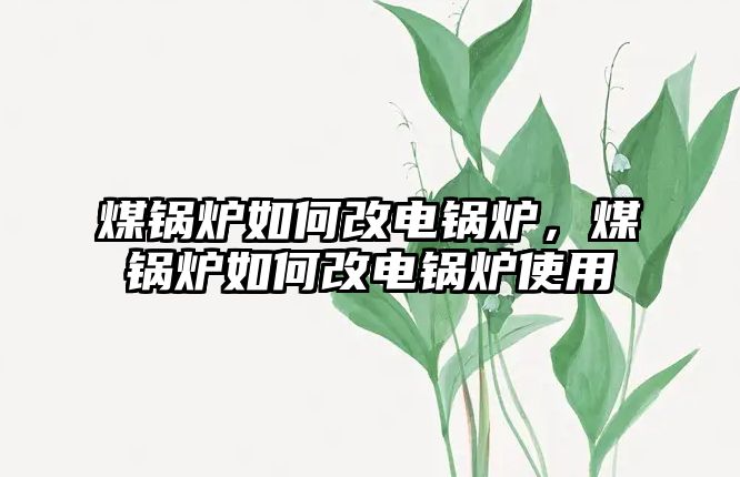 煤鍋爐如何改電鍋爐，煤鍋爐如何改電鍋爐使用