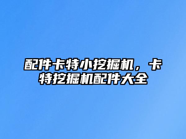 配件卡特小挖掘機，卡特挖掘機配件大全