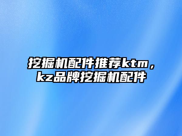 挖掘機配件推薦ktm，kz品牌挖掘機配件