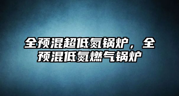 全預(yù)混超低氮鍋爐，全預(yù)混低氮燃?xì)忮仩t