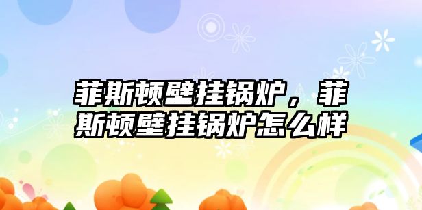 菲斯頓壁掛鍋爐，菲斯頓壁掛鍋爐怎么樣