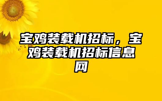 寶雞裝載機(jī)招標(biāo)，寶雞裝載機(jī)招標(biāo)信息網(wǎng)