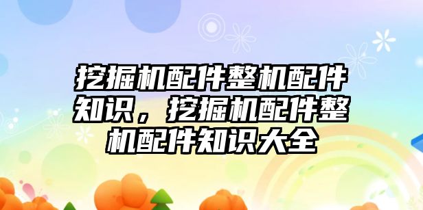 挖掘機(jī)配件整機(jī)配件知識，挖掘機(jī)配件整機(jī)配件知識大全