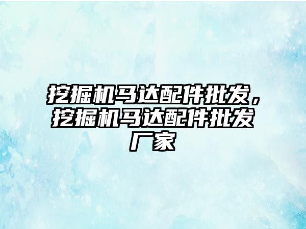 挖掘機馬達配件批發(fā)，挖掘機馬達配件批發(fā)廠家