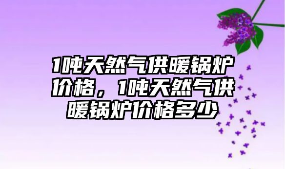 1噸天然氣供暖鍋爐價格，1噸天然氣供暖鍋爐價格多少