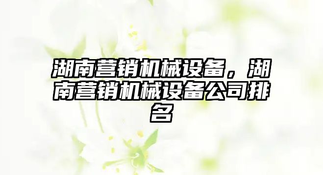 湖南營銷機械設(shè)備，湖南營銷機械設(shè)備公司排名