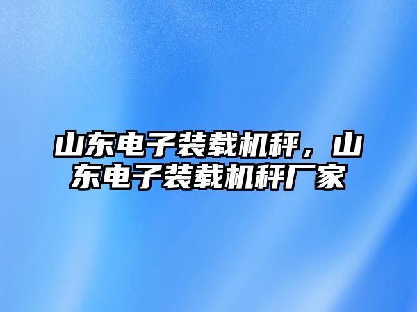 山東電子裝載機秤，山東電子裝載機秤廠家