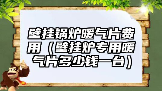 壁掛鍋爐暖氣片費用（壁掛爐專用暖氣片多少錢一臺）